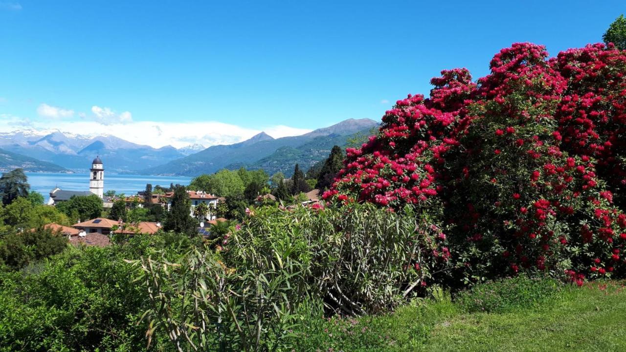 Hotel Il Nibbio Magreglio Exteriér fotografie